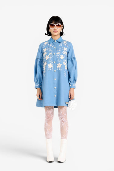 Valentina Denim Dress