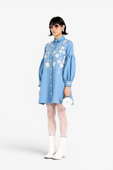 Valentina Denim Dress